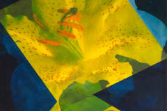 119x78cm, Öl auf Papier auf Holz, 19.10.2024